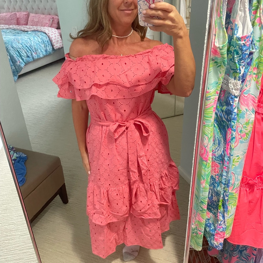 💞Elizabeth Wilson Pink Eyelet ruffle midi dress size small.